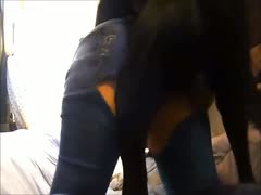 Ripped off jeans for her mutt
